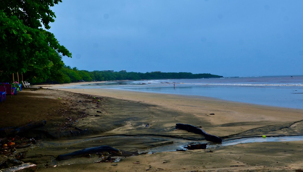 This image has an empty alt attribute; its file name is dsc_6045.jpg